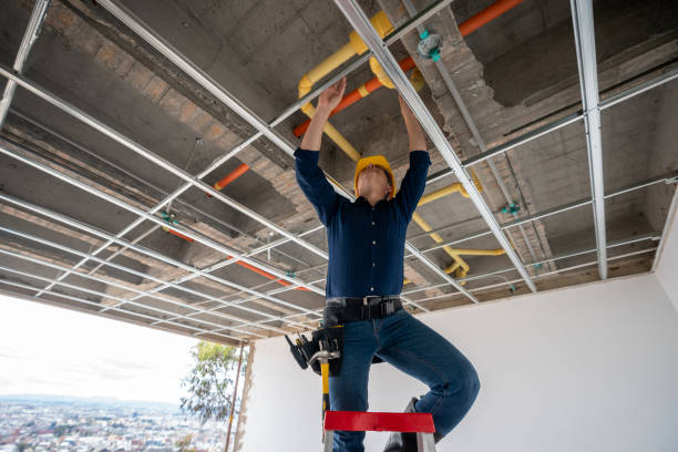 Best Leak Detection Services  in O, MI