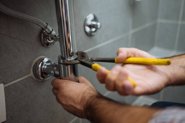 Best Commercial Plumbing Services  in O, MI